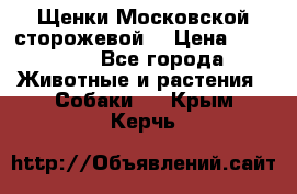 Щенки Московской сторожевой  › Цена ­ 25 000 - Все города Животные и растения » Собаки   . Крым,Керчь